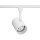 R521 Trac-Lites Flat Back Cylinder Head - White / White R521 Trac-Lites Flat Back Cylinder Head - White / White