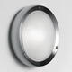 Niki Wall / Ceiling Mount - Satin Steel / Opal Niki Wall / Ceiling Mount - Satin Steel / Opal