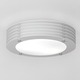 Lyra Indoor/Outdoor Ceiling/Wall Mount - White / White