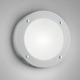 Lyra Indoor/Outdoor Ceiling/Wall Mount - White / White