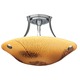 Veneto Semi Flush Ceiling Mount - Satin Nickel / Amber