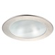 R4-409 4 Inch Lensed Shower Downlight Trim - Brushed Nickel / Frosted