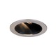 R4-421 4 Inch Adjustable Alzak Trim R4-421 4 Inch Adjustable Alzak Trim