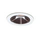 R4-421 4 Inch Adjustable Alzak Trim - White / Clear Alzak