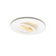 R4-488 4 Inch Adjustable Spot Trim R4-488 4 Inch Adjustable Spot Trim