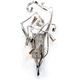 Delphinium Wall Sconce - Nickel / 