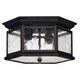 Edgewater Exterior Ceiling Mount - Black / Seedy Glass
