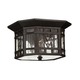 Tahoe Exterior Ceiling - Bronze / Clear Tahoe Exterior Ceiling - Bronze / Clear