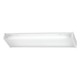 1010 Fluorescent Ceiling Mount - White / Clear Acrylic