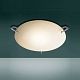 T-512 Series Wall / Ceiling Mount - Brushed Nickel / White Satin