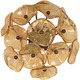Cassini 3 Light Wall Sconce  - Bronze / Amber Murano