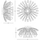 Anemone Wall / Ceiling Mount -  / 