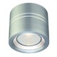 Entity Wall / Ceiling Mount - Satin Aluminum / 