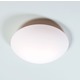 Janeiro CFL Wall / Ceiling Mount - White / Opal