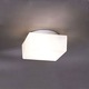Matrix Wall / Ceiling Mount - White / Opal Matrix Wall / Ceiling Mount - White / Opal