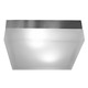 Mint Square Ceiling Flush Mount - Satin Nickel / Frosted