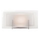 Nitrous Vanity Wall Sconce - Brushed Steel / Frost