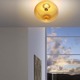 Ombre PP Wall / Ceiling Mount - /