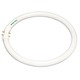 T5 Circline 2Gx13 Base 22W 120V - T5 Circline 2Gx13 Base 22W 120V - /