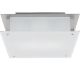 Vision Wall or Ceiling Mount - Brushed Steel / Frost Vision Wall or Ceiling Mount - Brushed Steel / Frost