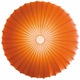 Muse Wall / Ceiling Mount - Metal / Orange
