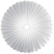 Muse Wall / Ceiling Mount - Metal / White