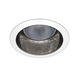CTR53002 5 Inch PAR30 Multiplier Trim - White / Clear