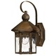 Westwinds Exterior Wall Sconce - Sienna / Clear
