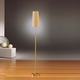 Illuminator Narrow Shade Adjustable Floor Lamp - Brushed Brass / Kupfer