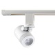 LED Mini-Cylinder Flood Head - White LED Mini-Cylinder Flood Head - White /