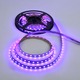 Soft Strip 2.6W 24V RGB - Clear Soft Strip 2.6W 24V RGB - Clear /