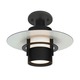 Aereo 6.5 Ceiling Flush Mount W / Disc - Black Bronze / Opal Etched