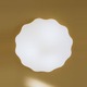Nubia PP Wall / Ceiling Mount - White / Satin White Nubia PP Wall / Ceiling Mount - White / Satin White