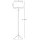 Todd Floor Lamp -  / 