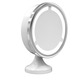 Vanity Halo Light Mirror - Satin Nickel / Mirror