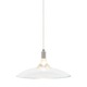 Freejack Diz Pendant - Satin Nickel / Clear