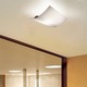 Selis PP Wall / Ceiling Mount - /
