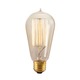 Nostalgic 1910 Edison Squirrel Cage Bulb Medium 40W 120V Nostalgic 1910 Edison Squirrel Cage Bulb Medium 40W 120V