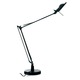 Berenice Table Lamp W/ No Reflector - Black / 