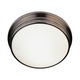 Roderick Ceiling Flush Mount - Antique Silver / Frost White