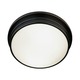 Roderick Ceiling Flush Mount - Deep Patina Bronze / Frost White