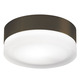360 Round Ceiling Flush Mount - Antique Bronze / Frost