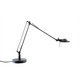 Berenice Floor Lamp - Black / Black