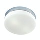 Disc Ceiling Flush Mount - Chrome / White Opal