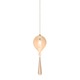 FJ Bloom Pendant 12V - Satin Nickel / 