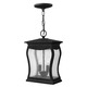 Richmond Exterior Pendant - Museum Black / Seedy Glass