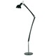 Naomi Terra Floor Lamp - Black Naomi Terra Floor Lamp - Black /
