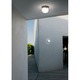 Scotch Wall / Ceiling Mount - /