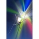 77 Moons Wall Sconce - Stainless Steel / White 77 Moons Wall Sconce - Stainless Steel / White