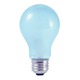 True Daylight A19 Medium Base 43W 120V Clear -  / Frost